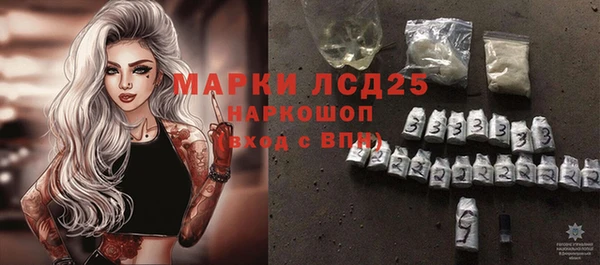 гидра Саяногорск