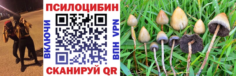 Псилоцибиновые грибы Psilocybe  Ува 